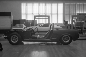 mustang forgotten body type